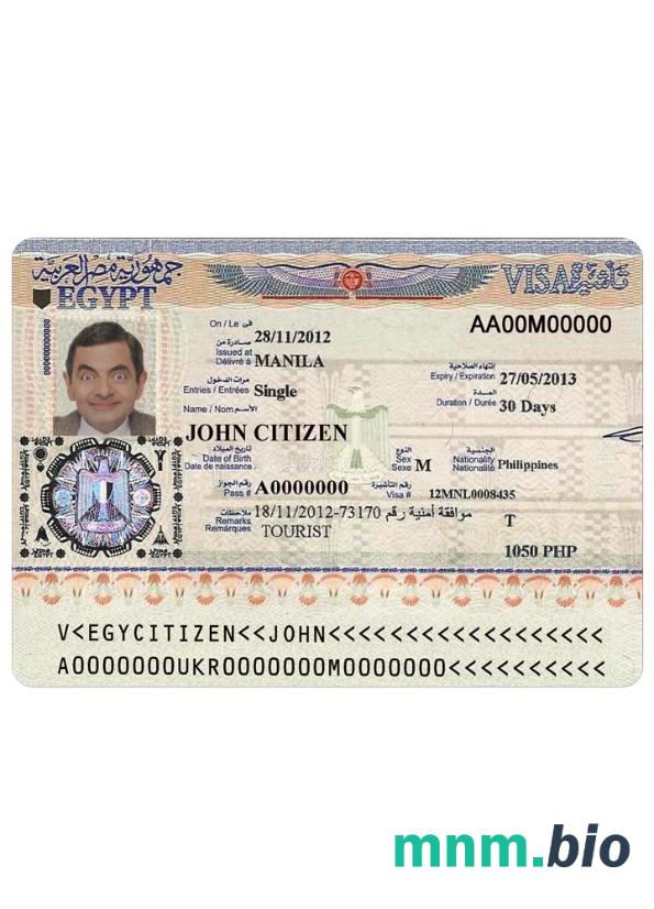 Egipt visa pełni edytowalne PSD